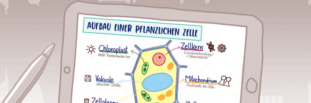 Vorschaubild Verwendung von Goodnotes auf dem iPad als digitaler Tafelersatz – #momuc_schule