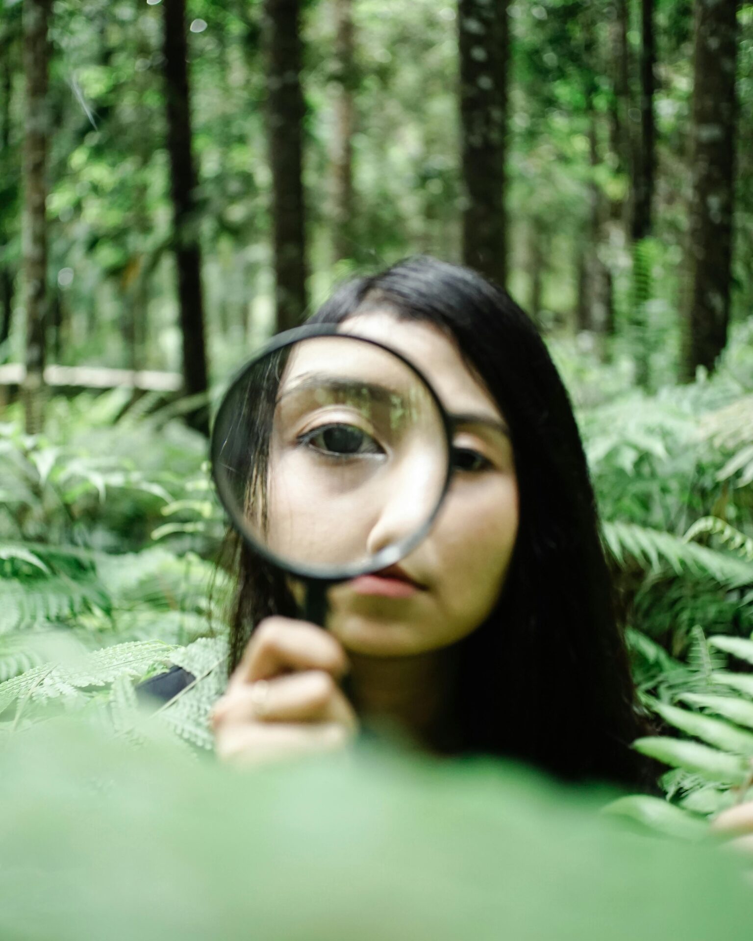 Vorschaubild Natur erkunden mit digitalen Medien – Praxiswerkstatt für Kita und Hort – #momuc_kita